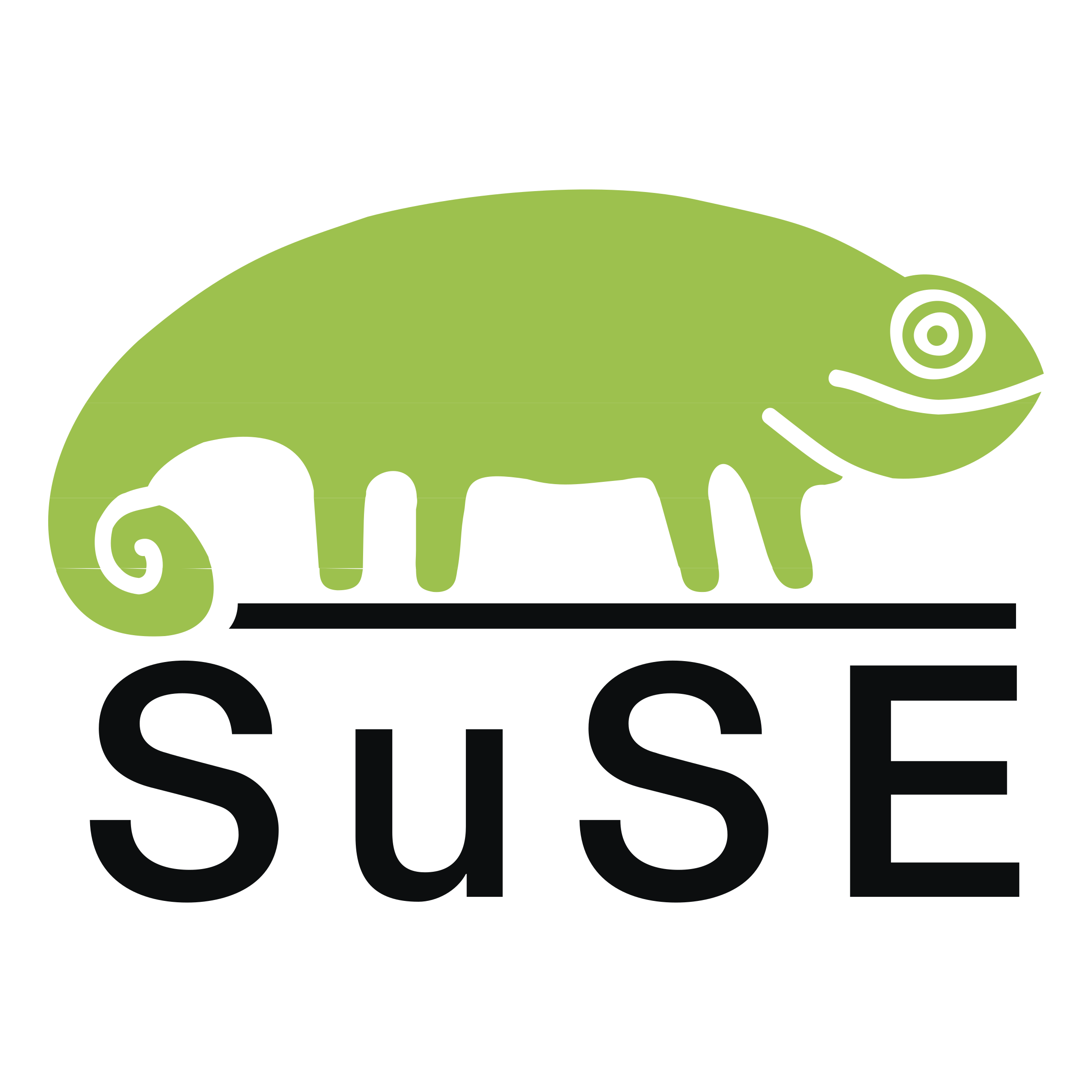 suse-logo-png-transparent